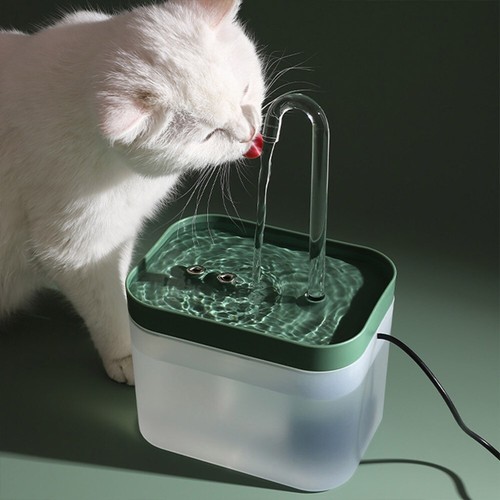 Pet cat dog water - pet,